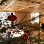 Vakantiehuis Bregenzerwaelderhaus Ambros Bezau