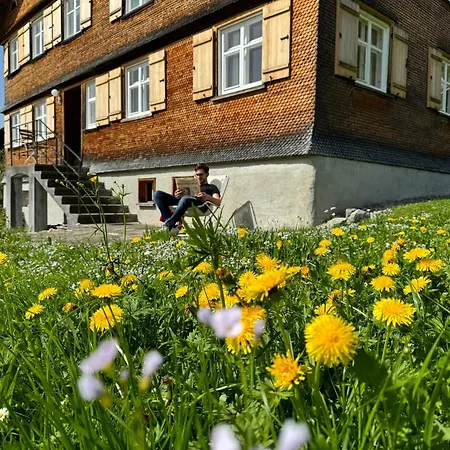 Bregenzerwaelderhaus Ambros 度假居 *