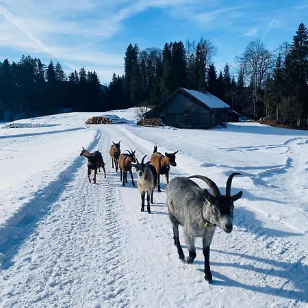 Bregenzerwaelderhaus Ambros