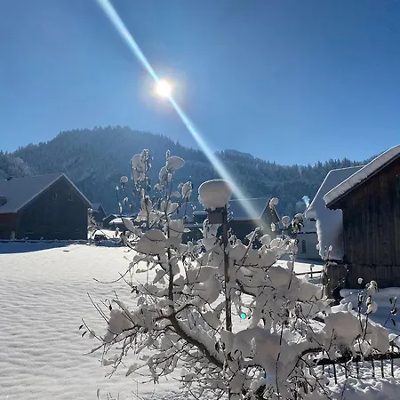 Bregenzerwaelderhaus Ambros Holiday home
