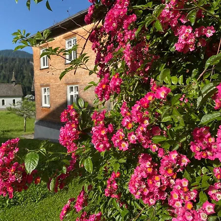 Bregenzerwaelderhaus Ambros 贝曹
