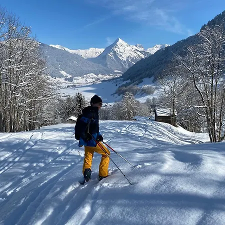 Bregenzerwaelderhaus Ambros Holiday home Bezau