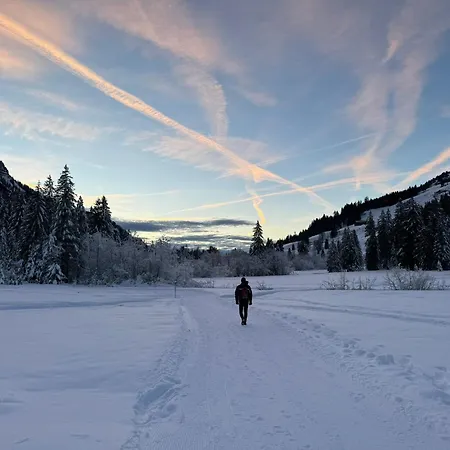 Bregenzerwaelderhaus Ambros *