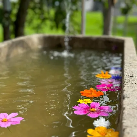 Bregenzerwaelderhaus Ambros Bezau