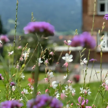 Vakantiehuis Bregenzerwaelderhaus Ambros Bezau